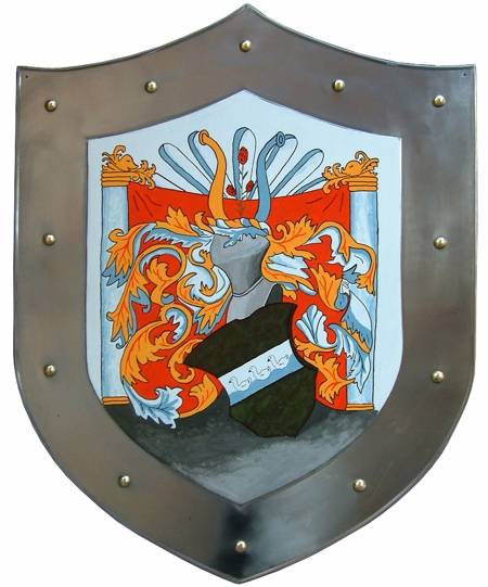 TRAINING SHIELDS.