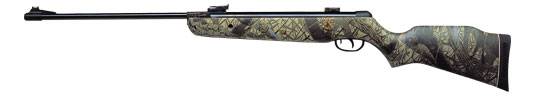 Gamo Hunter Realtree airgun.