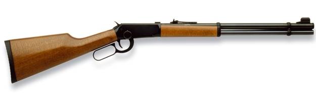 Co2 Norica carbine Lever Action