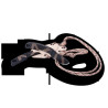 CUCHILLO EXTREMA RATIO NK1