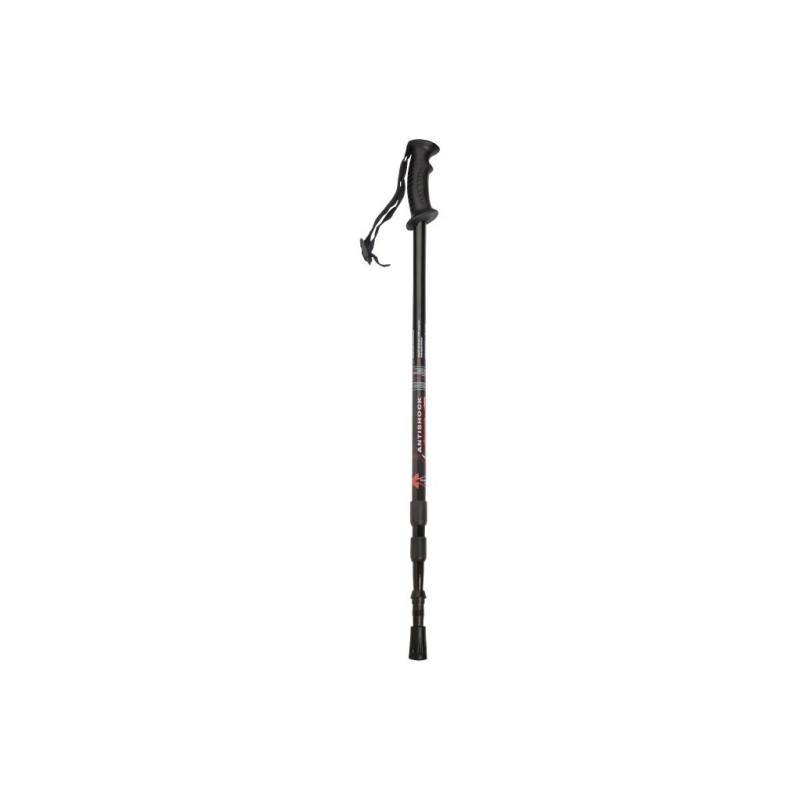3 EXTENSIONS BLACK HIKING POLE