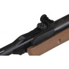 CARABINA DE AIRE COMPRIMIDO GAMO JUNIOR DELTA
