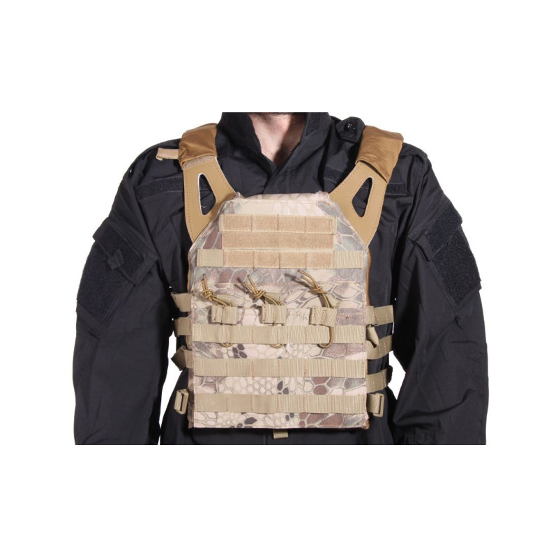 CHALECO PLATE CARRIER CRIPTEC ARENA DELTA TACTICS V18 + 2 PLACAS DE PROTECCION DUMMY
