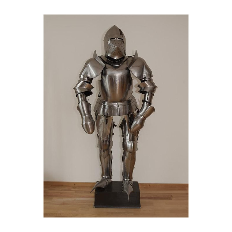 1016600100 Armor high middle age
