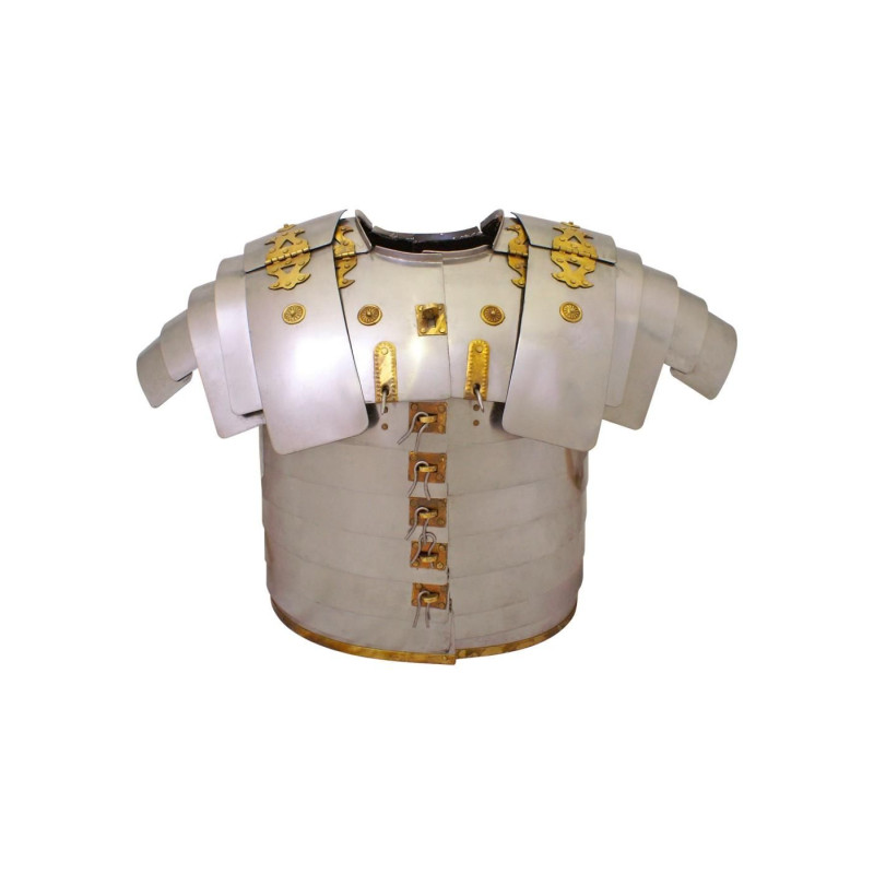 1023100446 Roman armor or segmented Lorica type Newstead