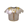 10230100446 Lorica romana segmentada Newstead