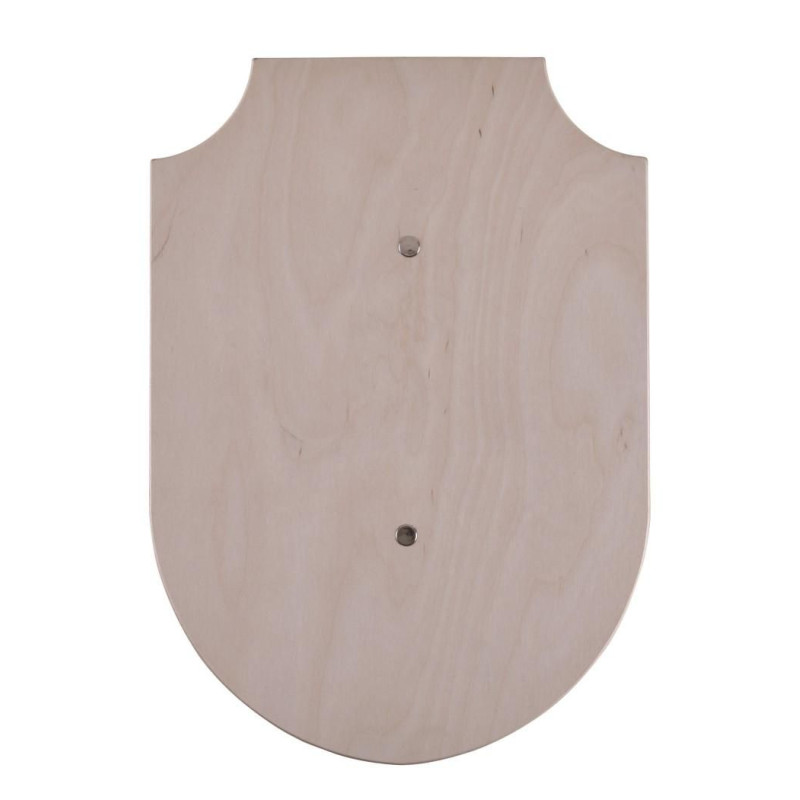 1580373400 Blank wooden shield for children