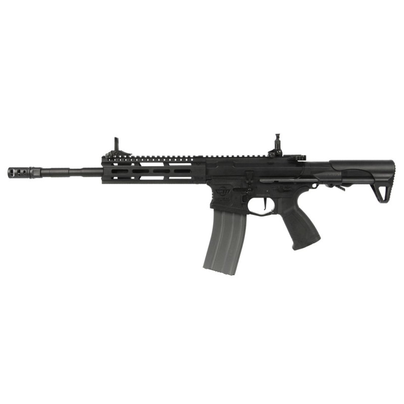 G&G (Egc-16P-R2E-Bnb-Ncm) Cm16 Raider 20E Long Aeg Rifle