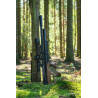 CARABINA PCP KALIBRGUN ARGUS 60 W