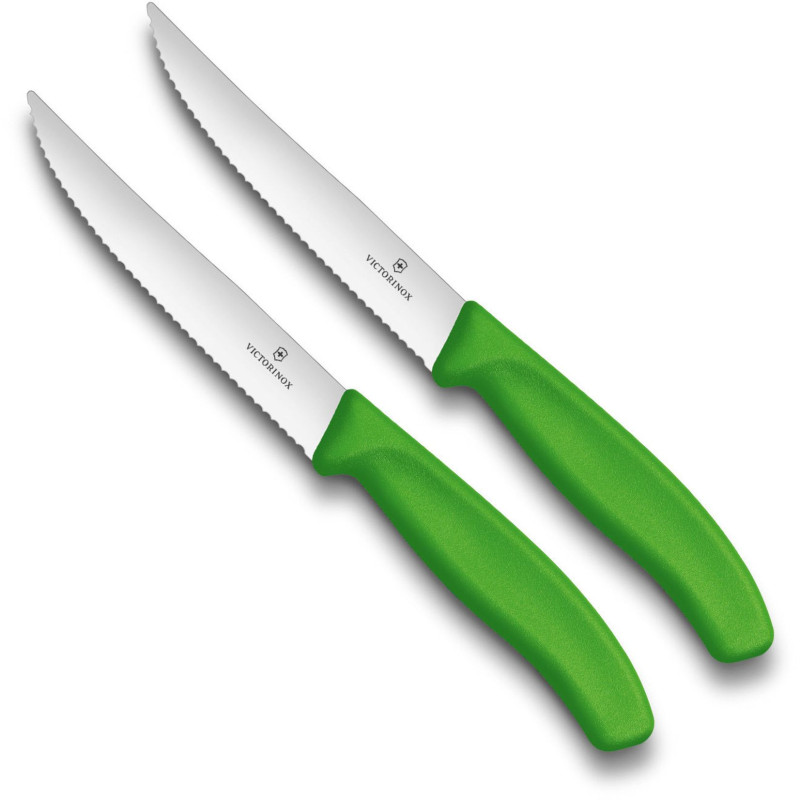 Victorinox Swissclassic juego de cuchillos para carne 2 piezas verde