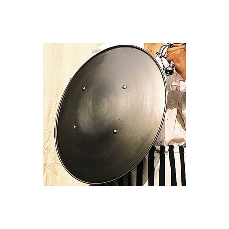 800176 Dome Steel Shield