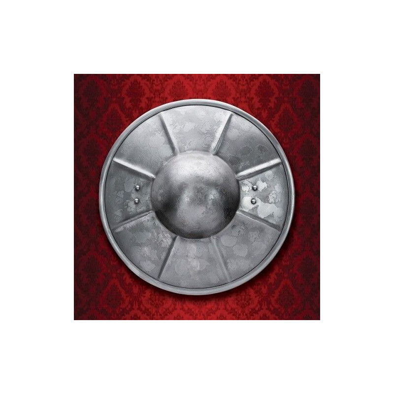 805204 Bouclier d’épéiste en acier