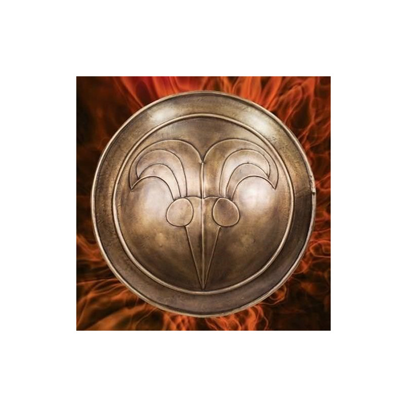 884019 Cimmerian Conan Shield