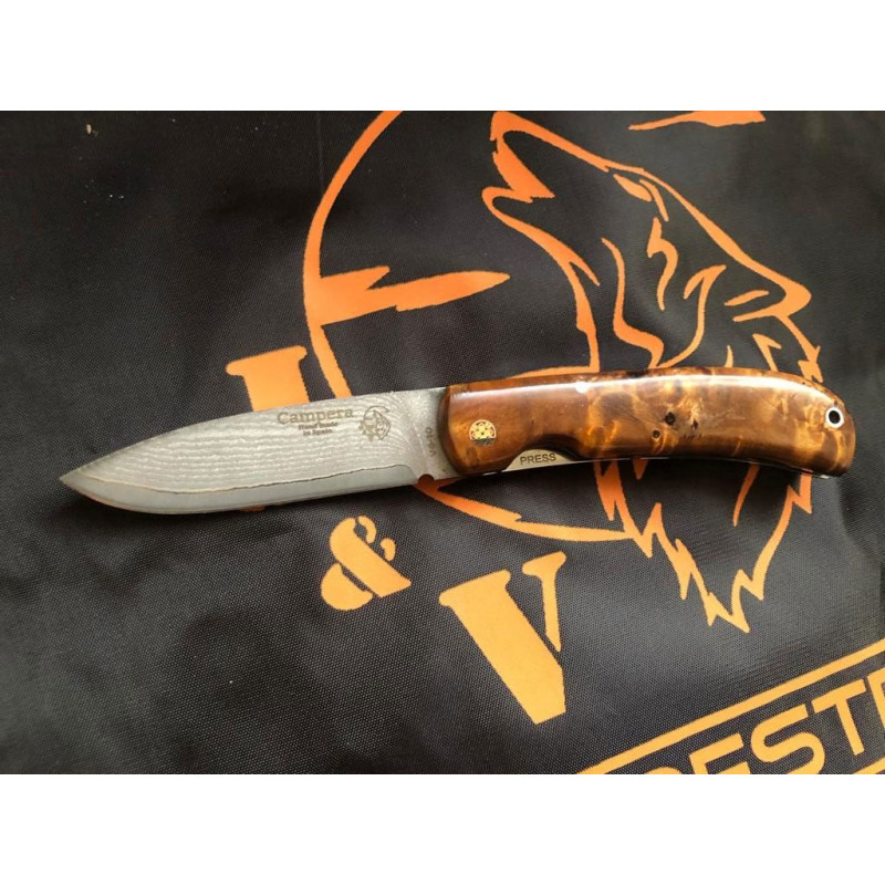 J&V Orange Stabilized Wood Campera Knife 1416-MEN-VG10