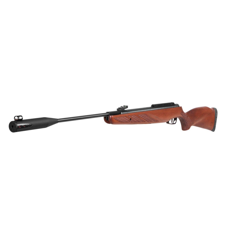 GAMO CARABINE GRIZZLY 1250 WHISPER IGT MACH 1 5,5 MM