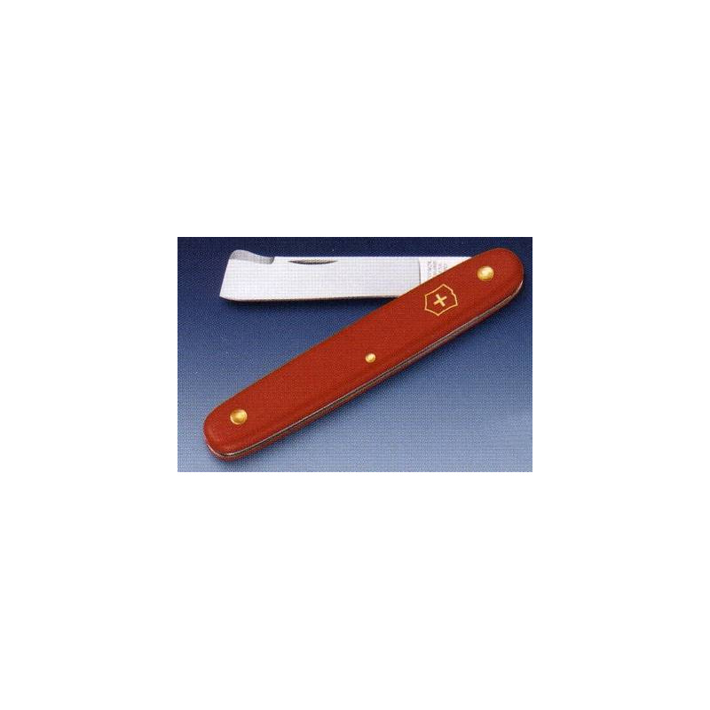 ECOLINE VICTORINOX RASIERER ZUM TRANSPLANTIEREN