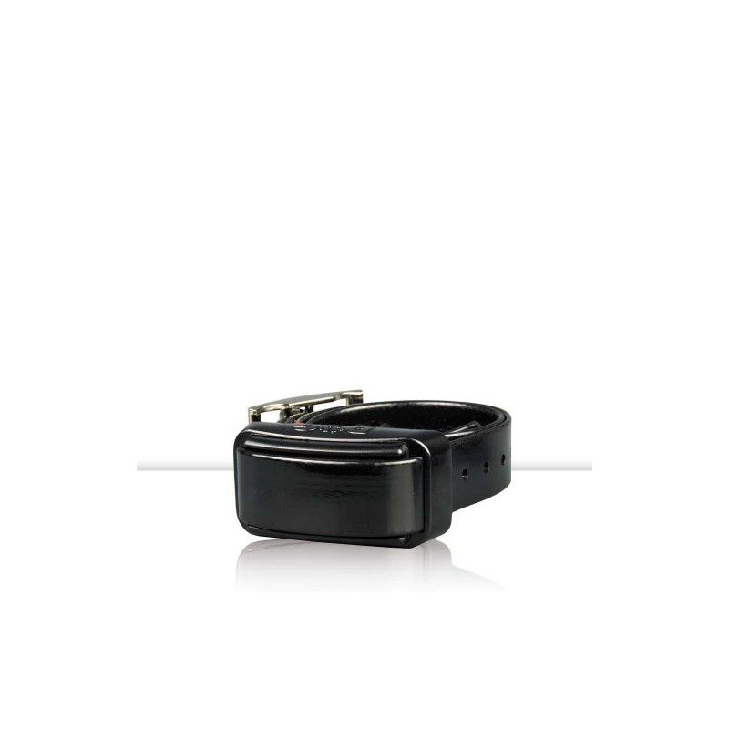 Collana PROFESSIONAL Extra