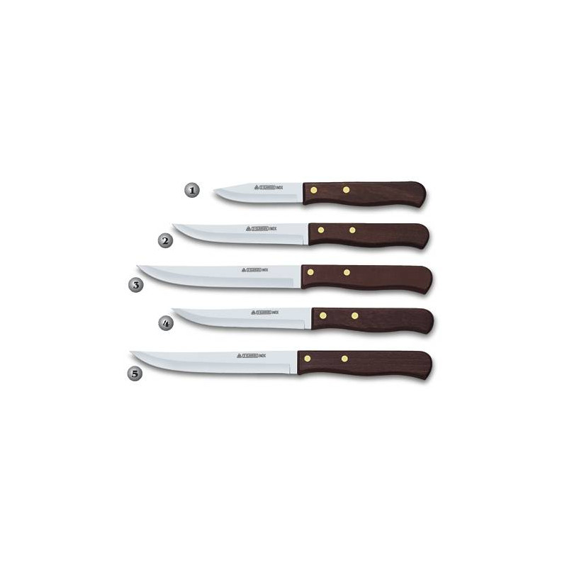 3 CLAVELES TABLE KNIVES FOR MEAT AND VEGETABLES