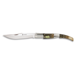 Authentic Bull Horn Carraca Arabic Penknife