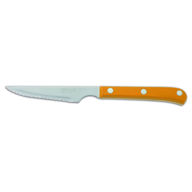 Steak Knife Arcos ref 374825