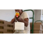 BUG-A-SALT 3.0 ORANGE CRUSH FLY GUN