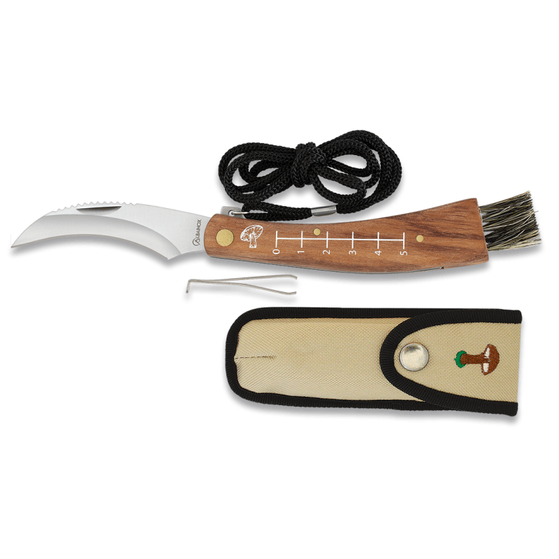 Lâmina de barbear de cogumelos Albainox: 7,50 cm