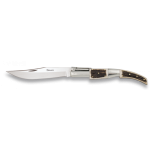 Arabian-knife-Ratchet