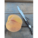 NAVAJA ÁRABE CARRACA DE ESTAMINA ROJA HOJA 13,50 cm