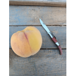 Navaja Árabe de carraca