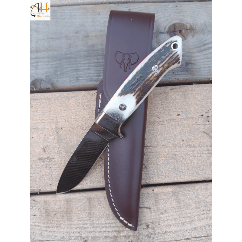 AKELEY 254-C Coltello da Cudeman da caccia