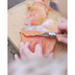 NAVAJA OPINEL Nº8VRI