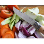 OPINEL COLTELLO Nº12VRI