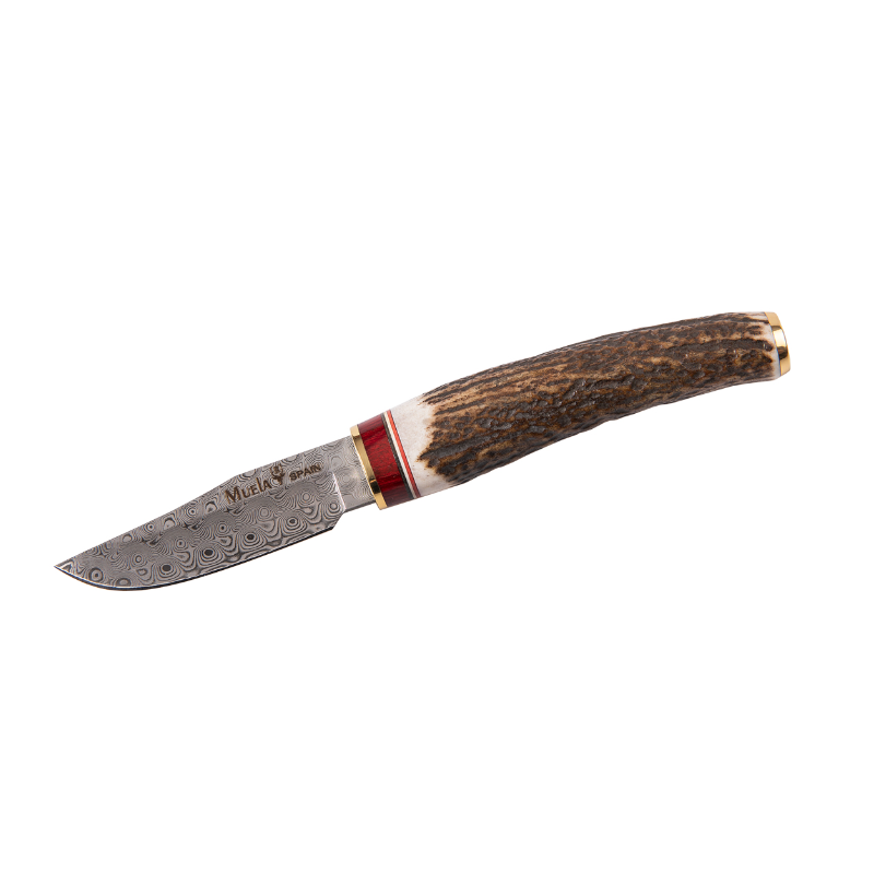 CUCHILLO MUELA BW-6DAM