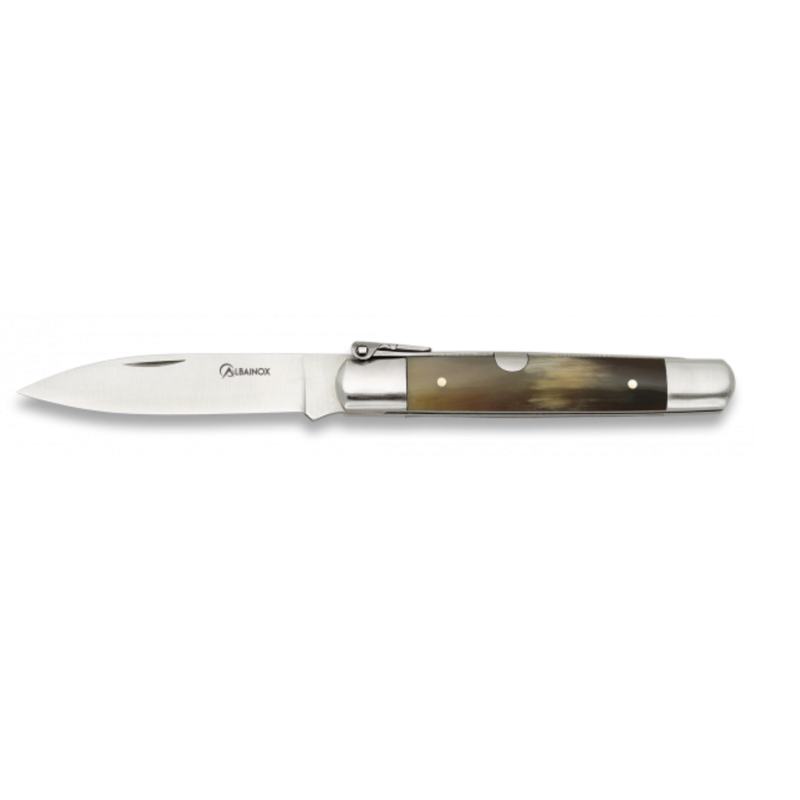 COLTELLO IN ACCIAIO INOSSIDABILE 01067 MARTINEZ ALBAINOX