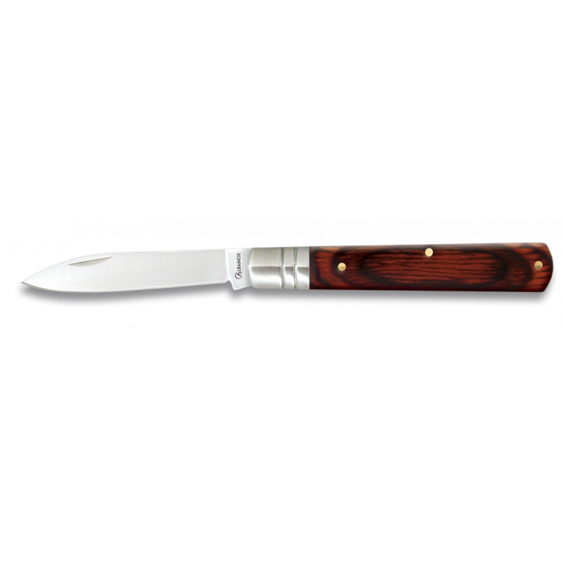 COLTELLO IN ACCIAIO INOSSIDABILE 10571 MARTINEZ ALBAINOX
