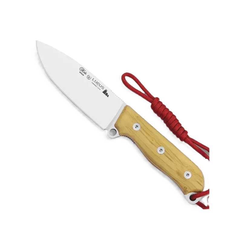 Messer Nieto Lucus Vanadium 1.4116 Buchsbaum