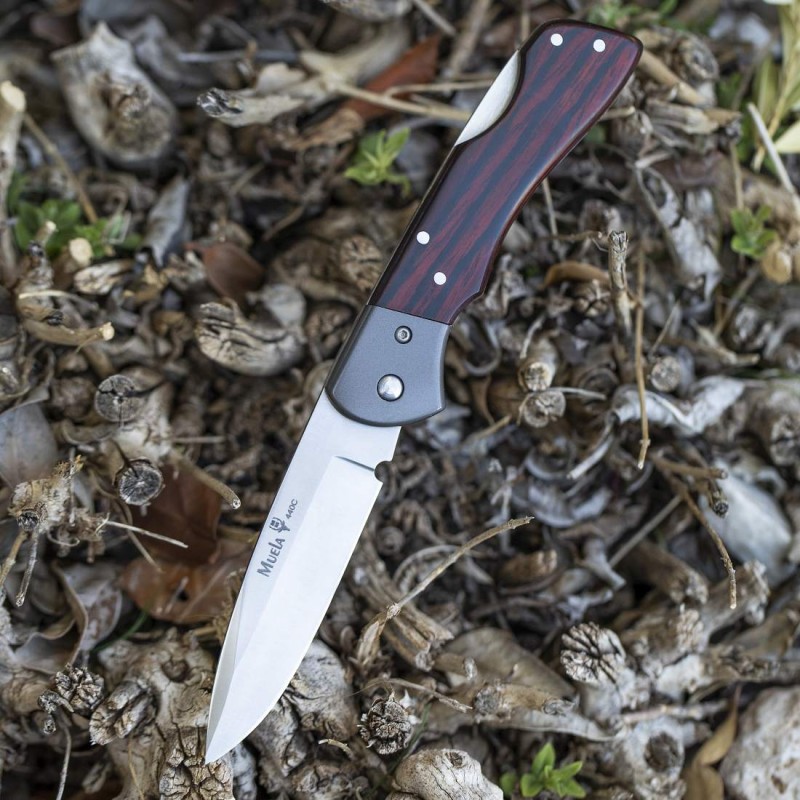 Muela BX-8GR Coral pocket knife, blade 8.5 cm.