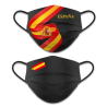 MASCARILLA FACIAL REVERSIBLE, ESPAÑA