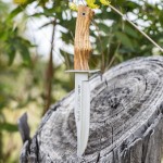 Faca de Monte Muela Cazorla-16 Oliveira