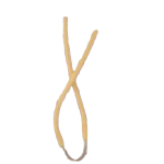 LÁTEX AITOR JUNGLE KING