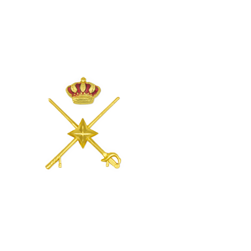 ÉPAULIÈRE DE BRIGADIER-GÉNÉRAL