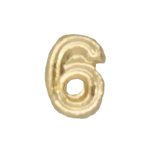 Numerical pin 6 gold