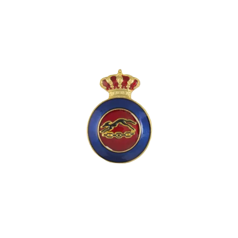 Badge Istruttore di Educazione Fisica