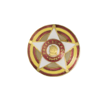 Emblem pin PROFESORADO SUBOFICIAL