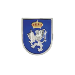 Emblem pin PROTECCION Y SEGURIDAD