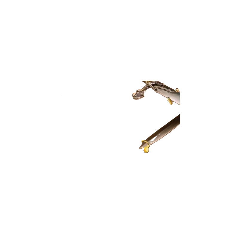 SCHWERT-AUFHÄNGER