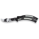 Albainox Totenkopf Fächermesser