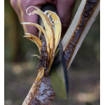 Green M95 Ranger Pukko Peltonen Knife