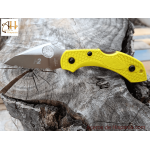 Spyderco Dragonfly 2 Salt Serrated Edge Knife