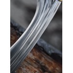 Falcata con manico a testa di cavallo, incl. fodero e coltello, IV-III secolo a.C.